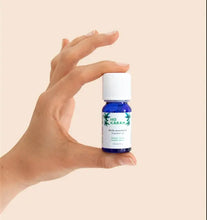 Charger l'image dans la galerie, Huile essentielle de chanvre : Flower Power Hokaran