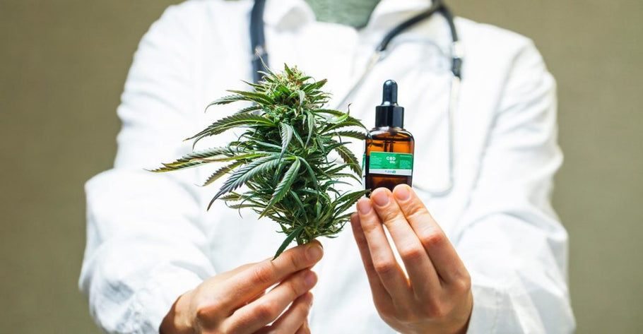 Guide: 3 conseils avant de commander du CBD en ligne