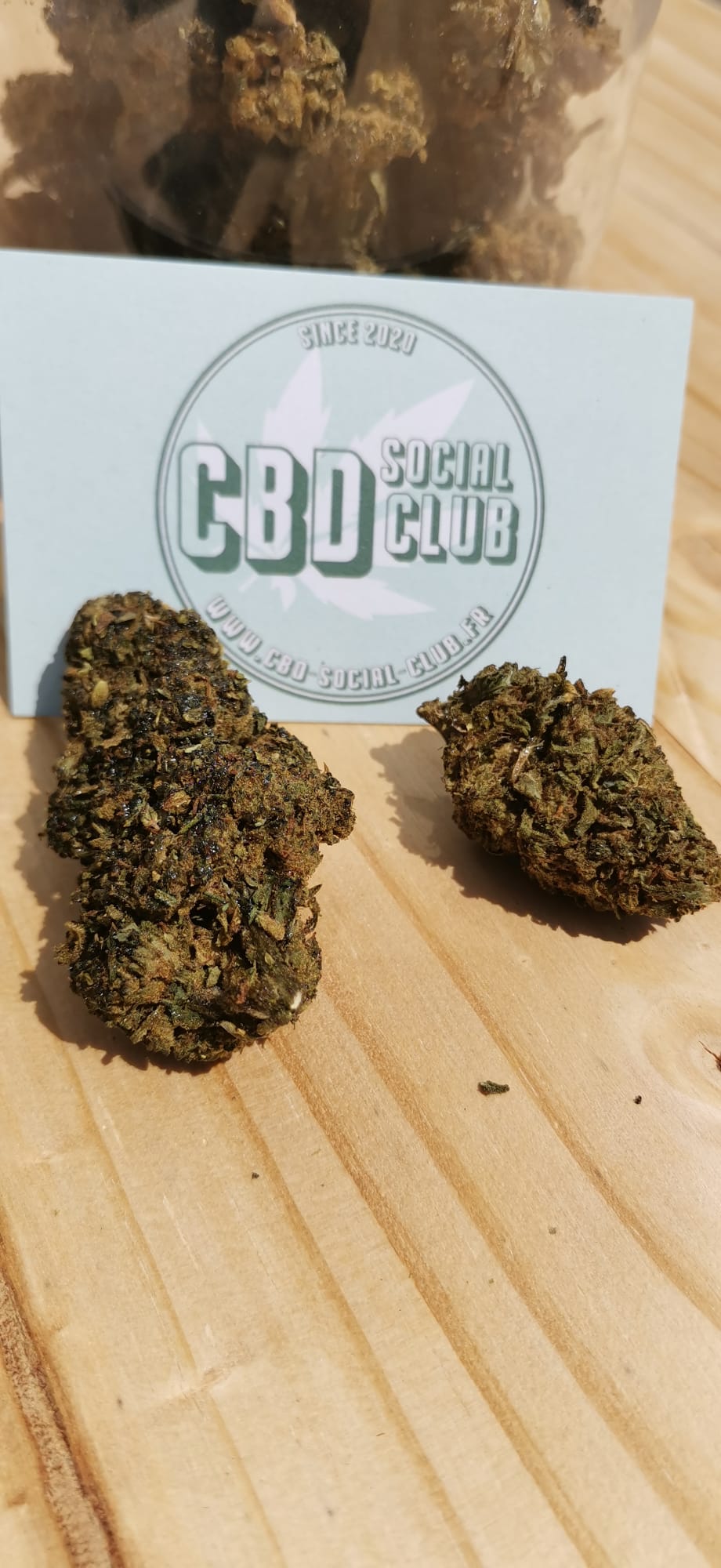 Fleur de CBD - H4 Amnésia CBD social club
