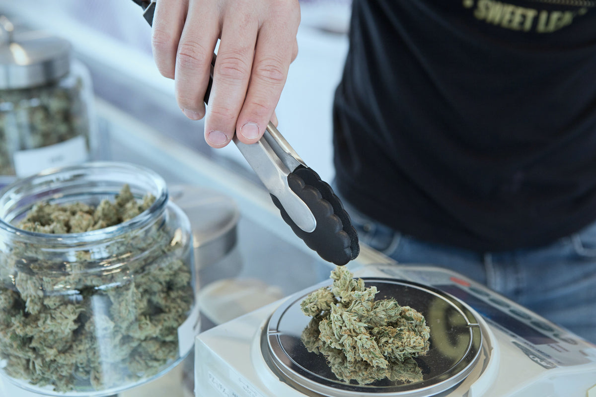  CBD La Roche Sur Yon - CBD Shop La Roche Sur Yon - Boutique CBD La Roche Sur Yon - Magasin CBD La Roche Sur Yon - Vente CBD La Roche Sur Yon - Magasin CBD - Boutique CBD - Magasin Cannabidiol