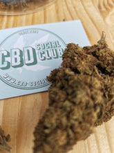Charger l&#39;image dans la galerie, Fleur de CBD H1 : Jack Herrer CBD social club
