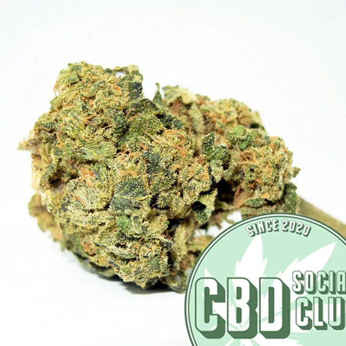Fleurs de CBD - Gorilla Glue CBD social club